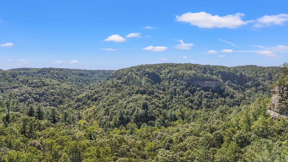 Scenic Heights Lookout is a 5 minute walk from Daze Off in the neighborhood
