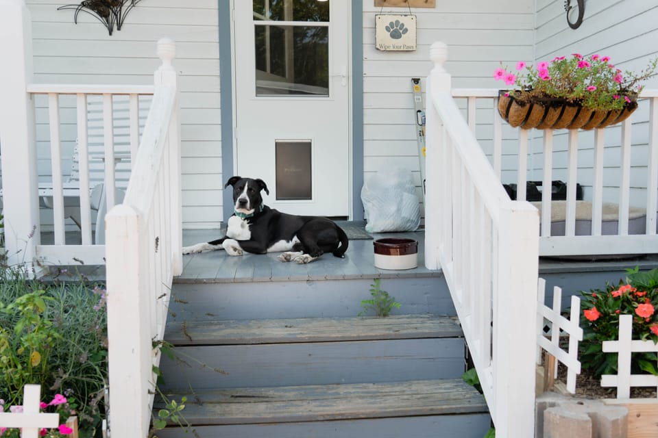dog door can be blocked or left accessible