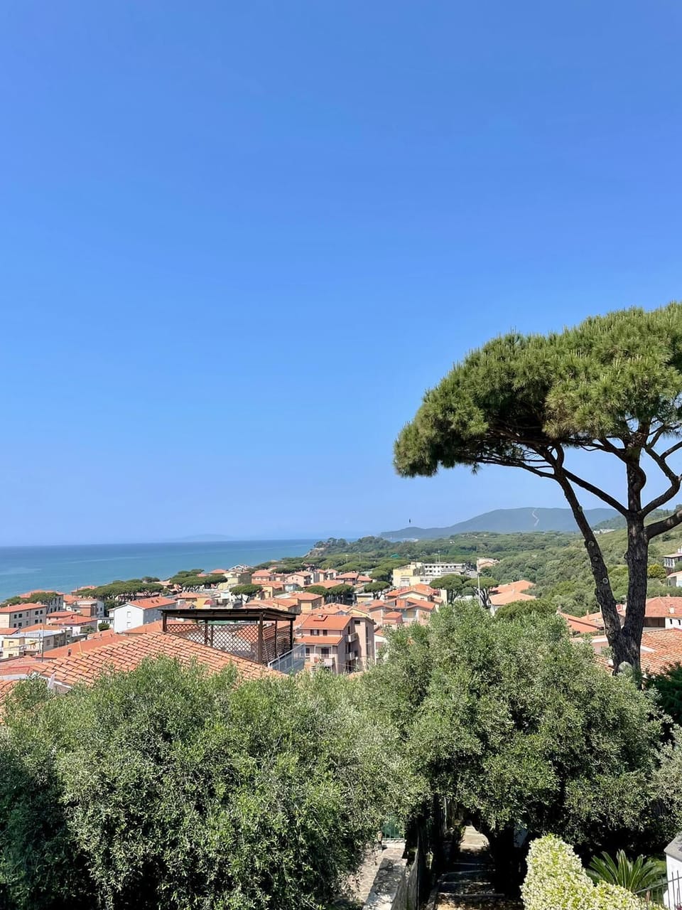 View from property
