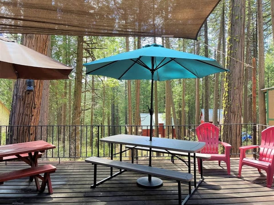 Back Deck