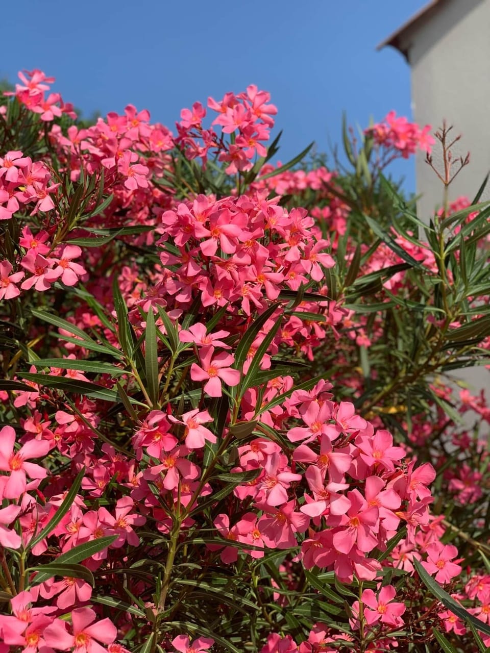 45be9692-574a-4359-a9bf-34ca7c71f8bf