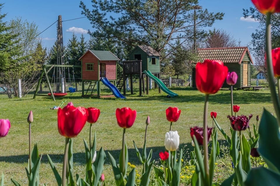Children's area
