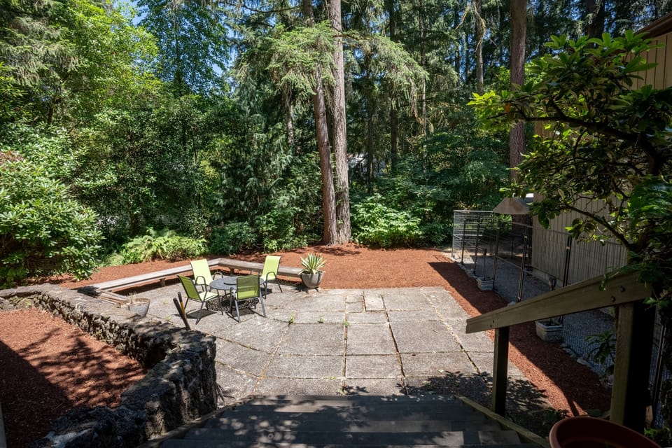 Back patio