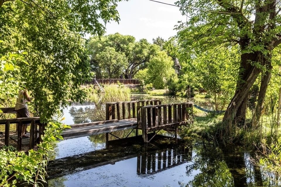 Pond Island serenity