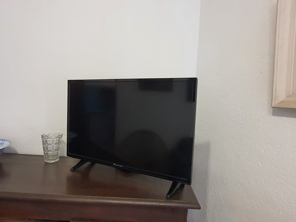 Television