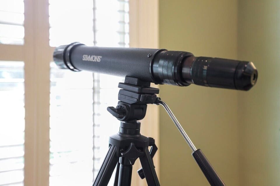 Perfect for a little bird watching.
