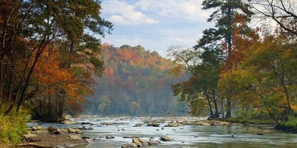 Explore scenic river views and peaceful nature moments nearby.