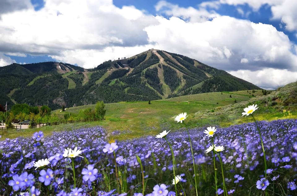 Baldy Mountain