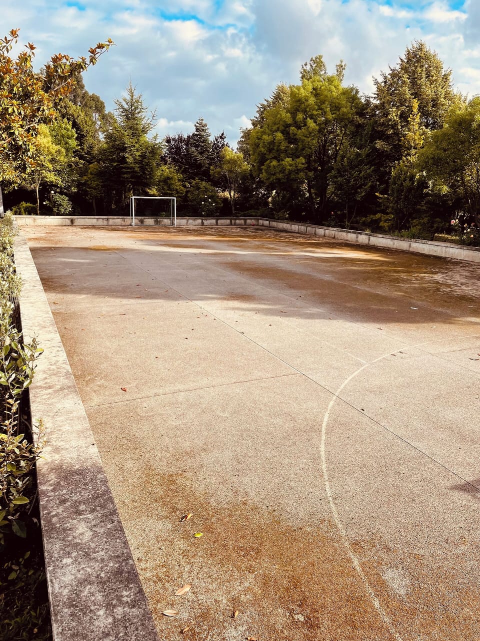 Sport court
