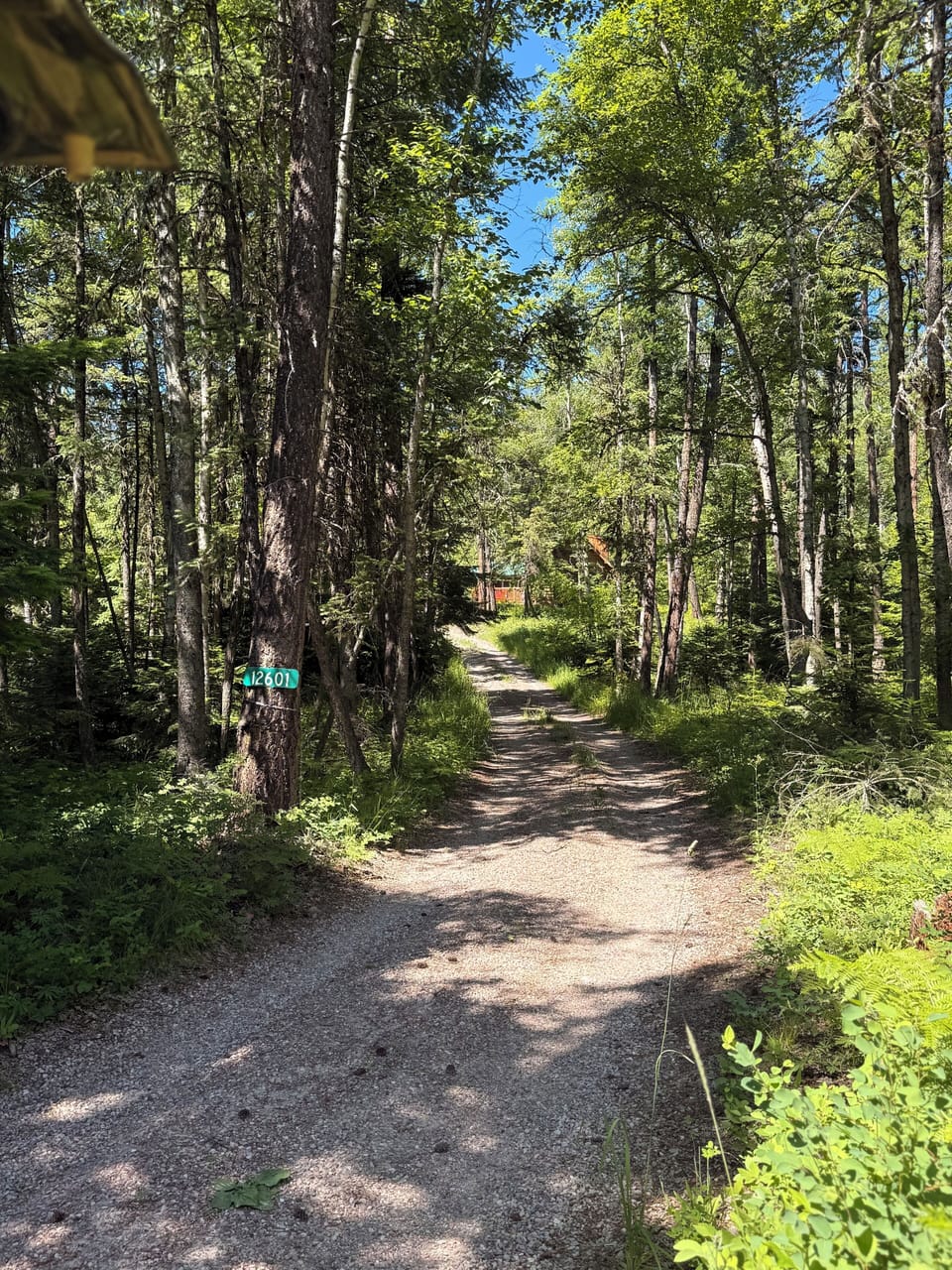This is the view from the bottom of the driveway to the cabin. 