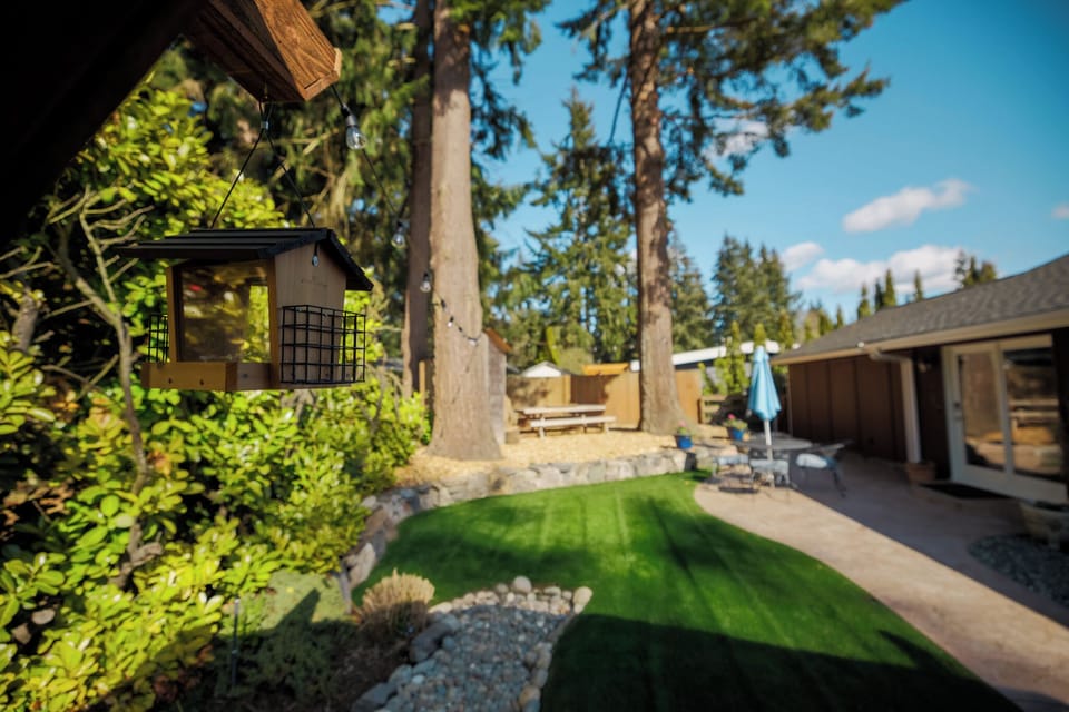 Huge backyard