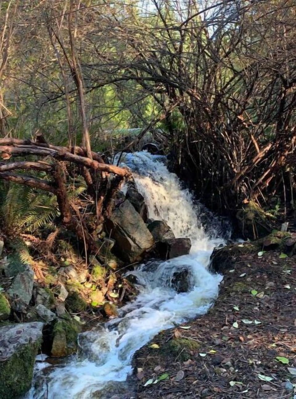 This babbling brook running past the RV will ensure a good sleep