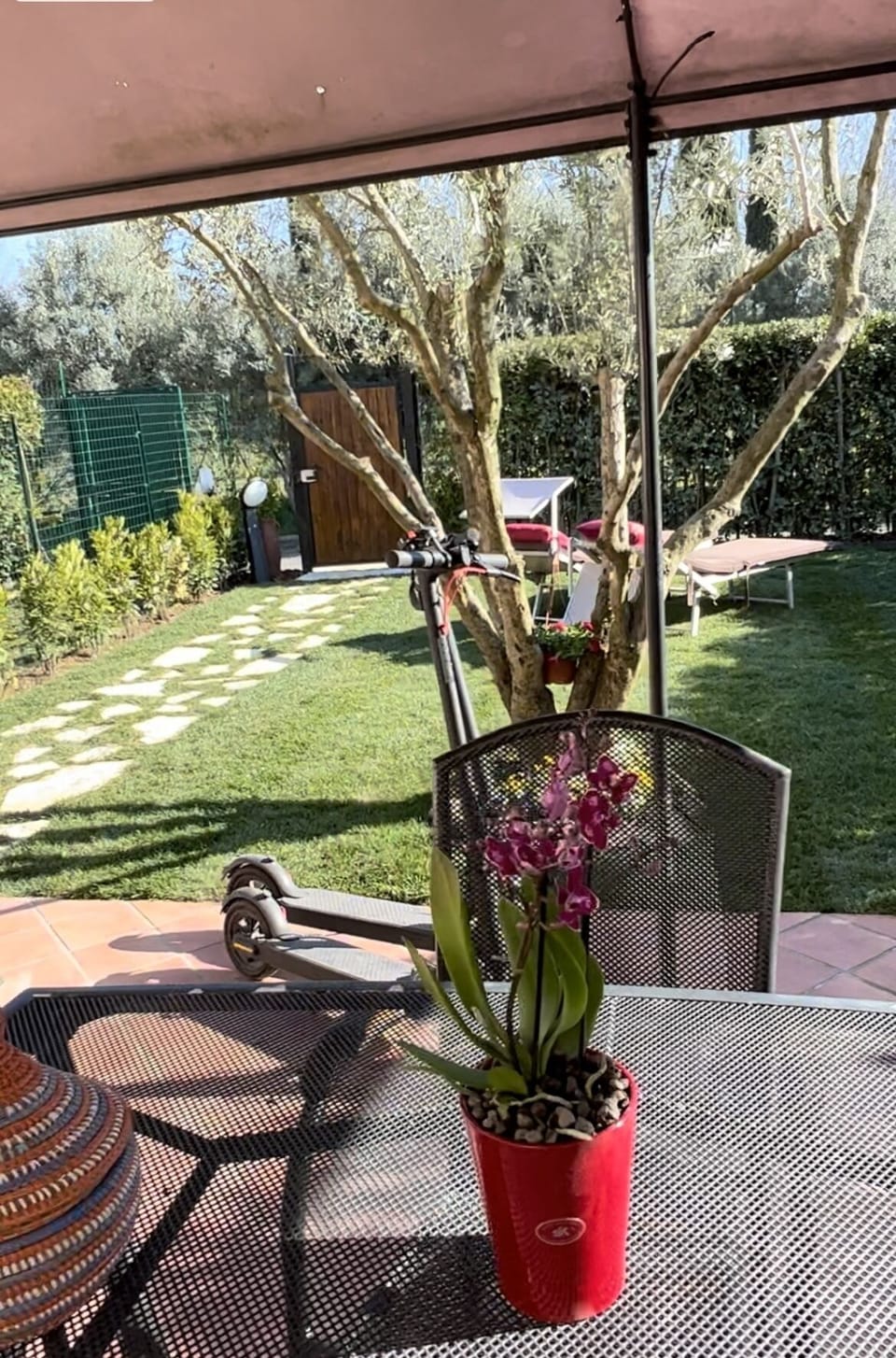 Terrace/patio