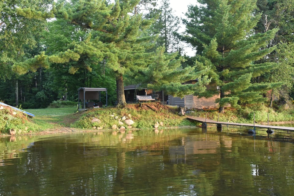 A view from the lake.