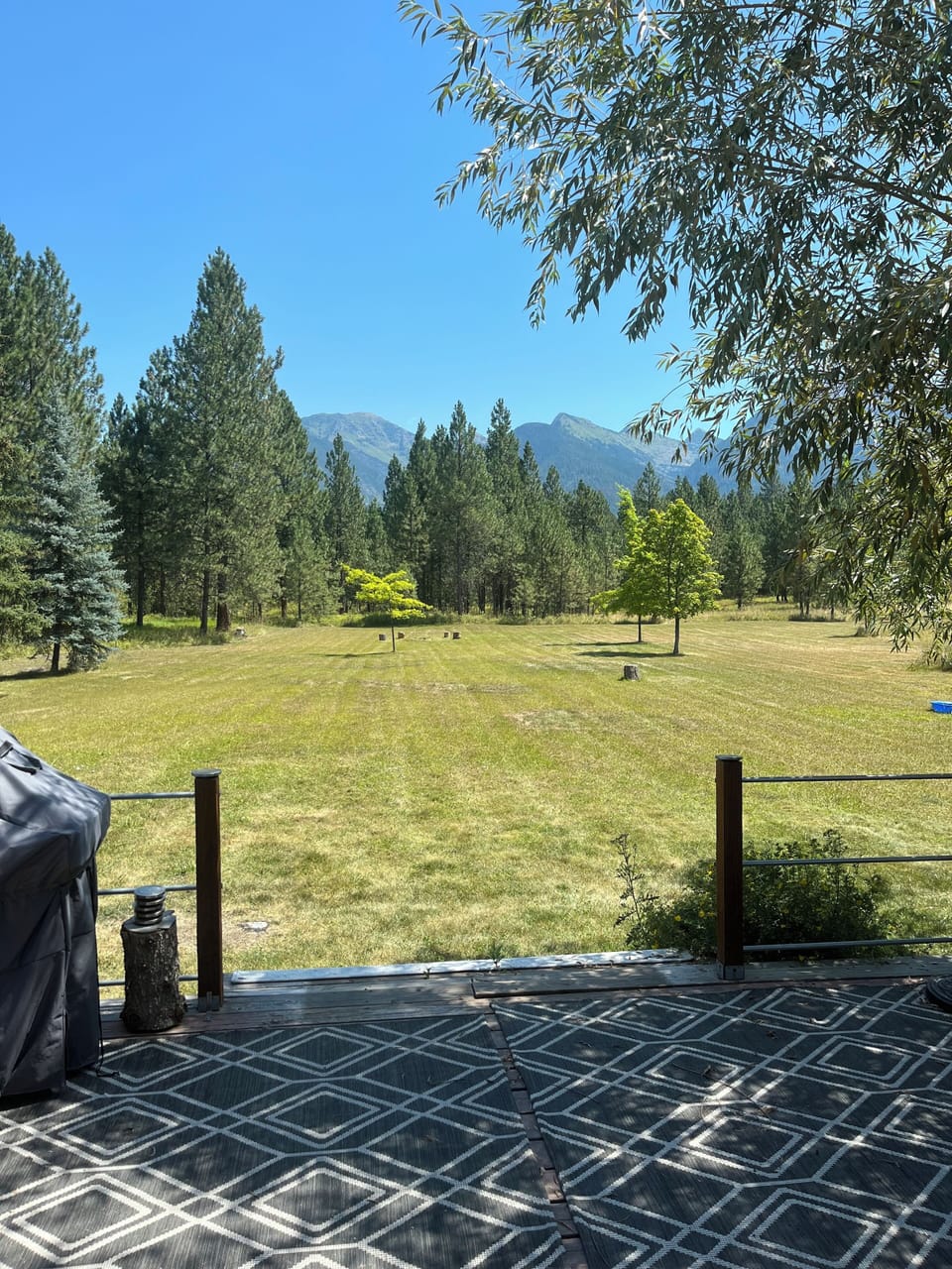 Patio view