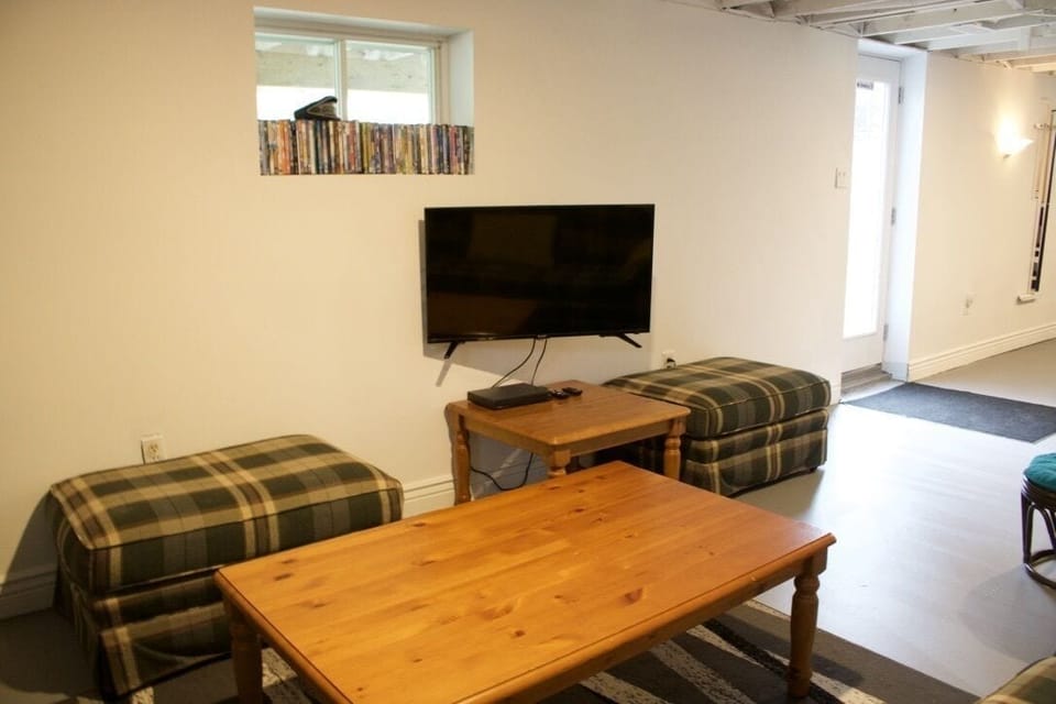 Basement TV and sofas.