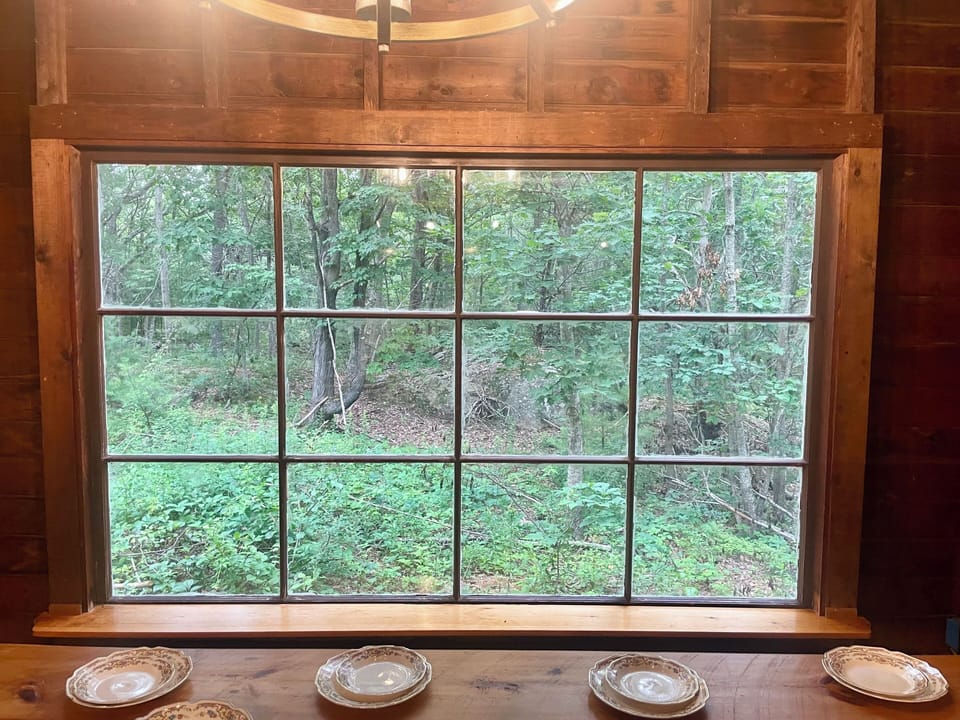 View from dining area
