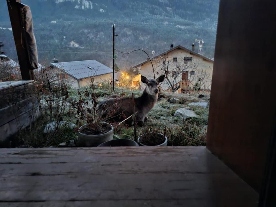 View from property