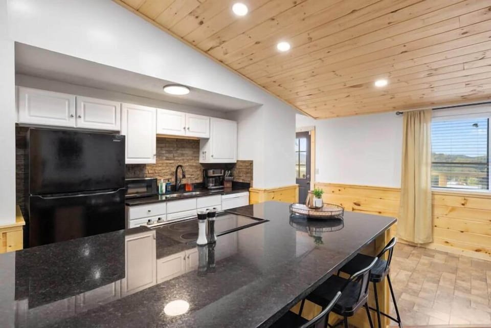 Cabin Kitchen 