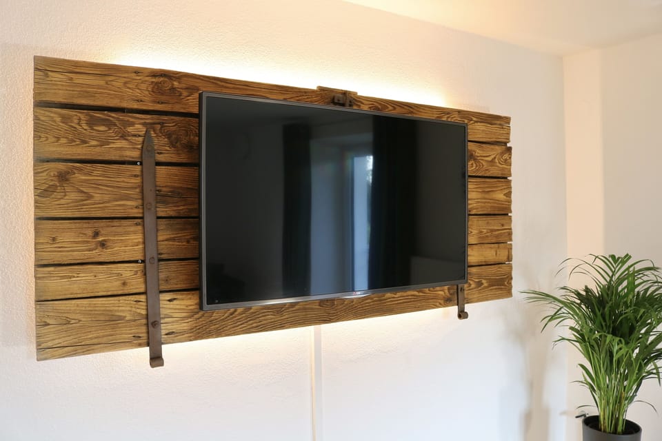 Television