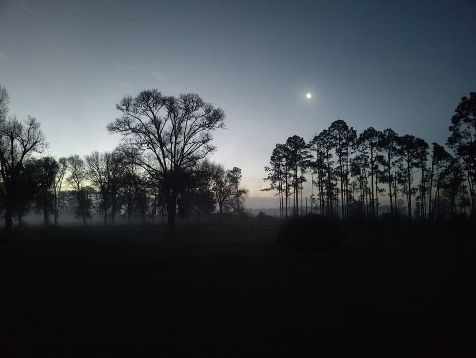 Brilliant stars and you can see the milky way