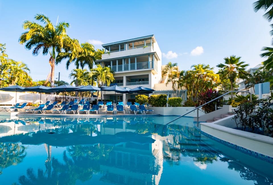 Dive into sparkling resort pool with loungers and palms.