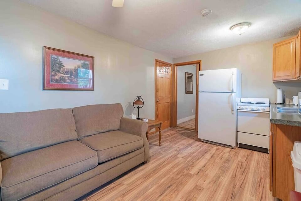 Couch has pullout bed