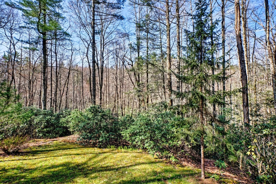 back yard