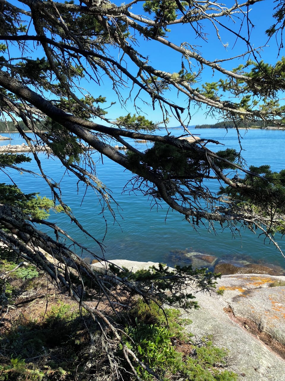 Curtis Island by kayak
Nice  island to paddle out to. with lighthouse/hiking