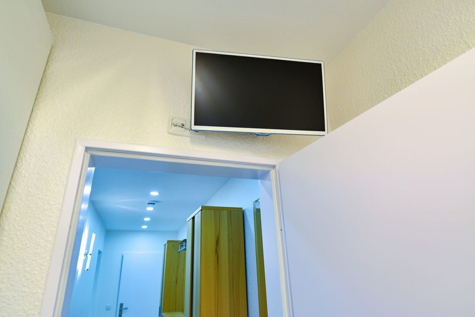 Television