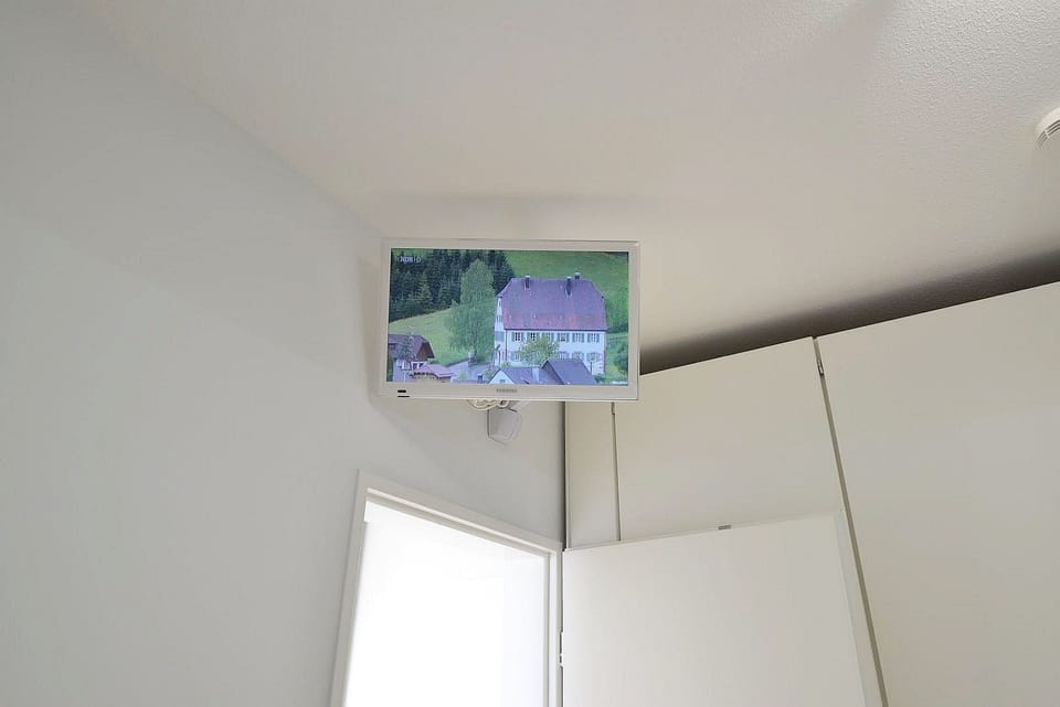 Television