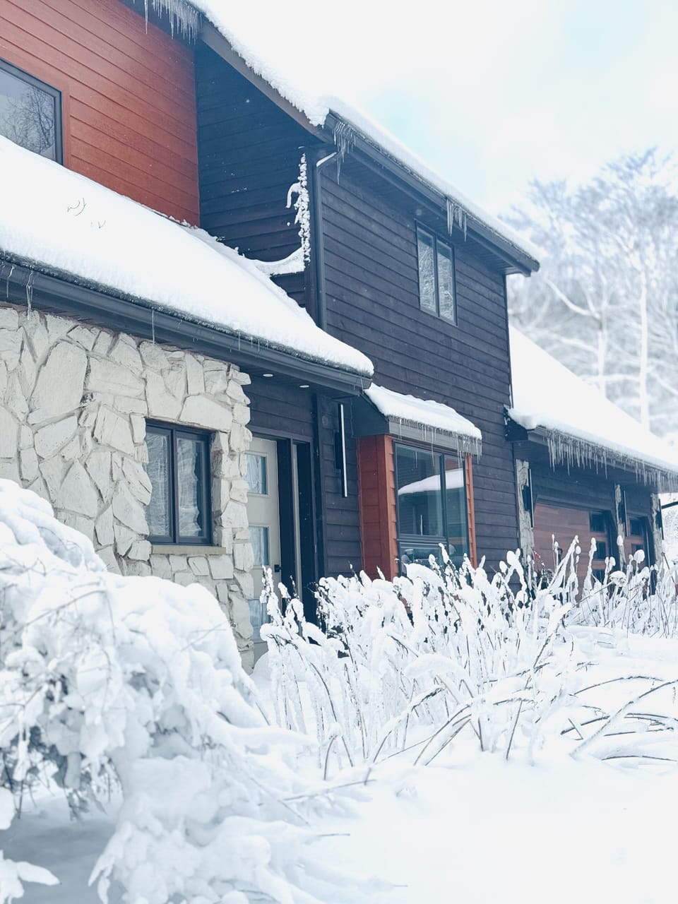 Winter wonderland view 