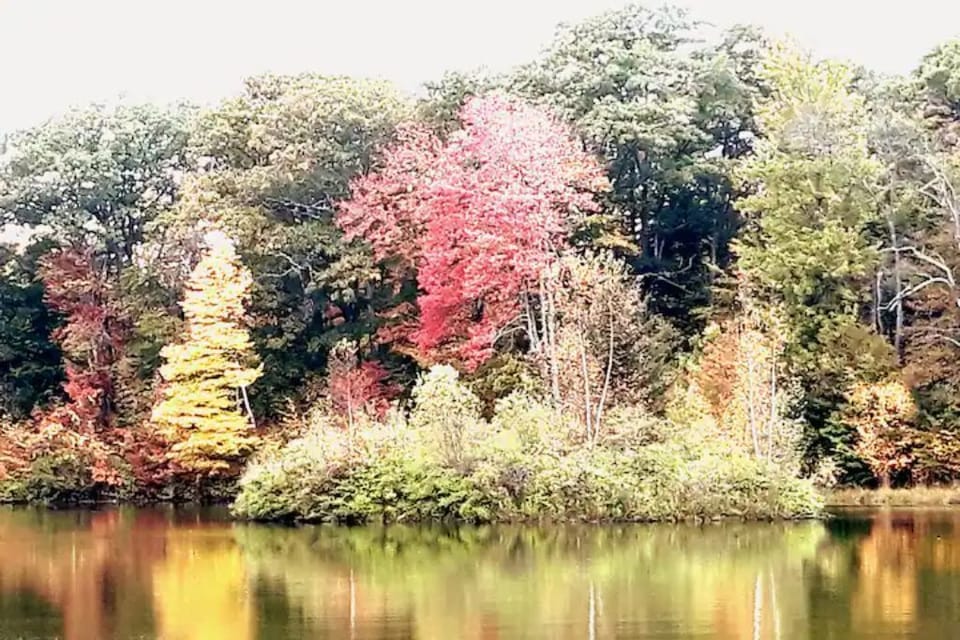 Fall on Henderson