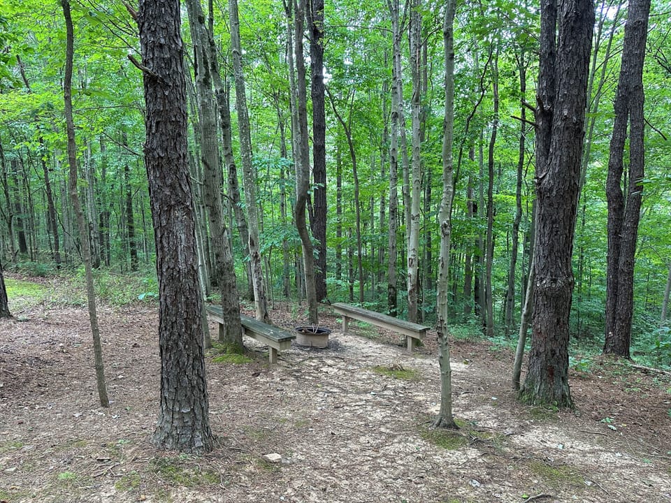 PRIVATE FIREPIT AND PICNIC AREA W/ CHARCOAL GRILL