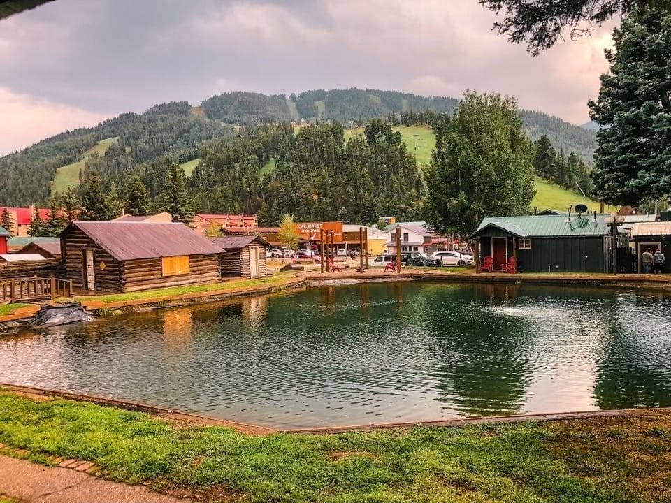 f6e1d3c8-2825-46d7-b5cd-02cf92c034fe