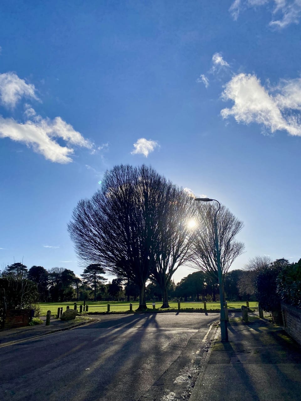 Spring in the air