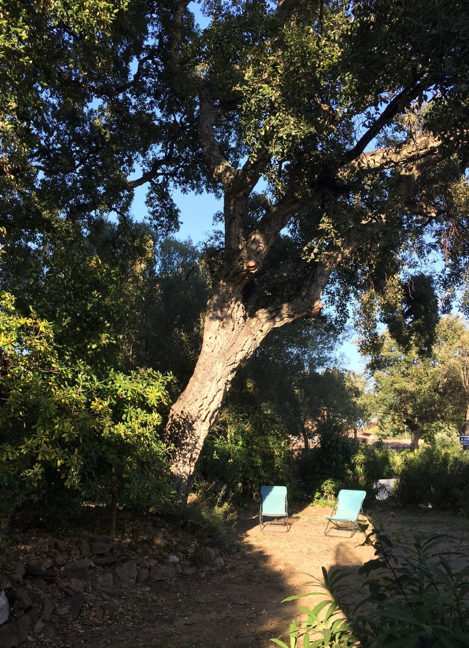 Property grounds