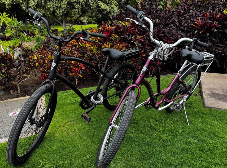 Take a ride around on the homes 2 Brand New eBikes and safety gear during your stay at Blue Tranquility Villa!