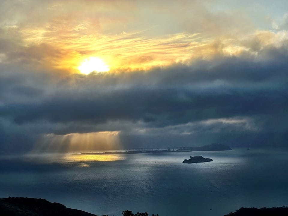 We hope you come and enjoy all the natural beauty that Sausalito has to offer.