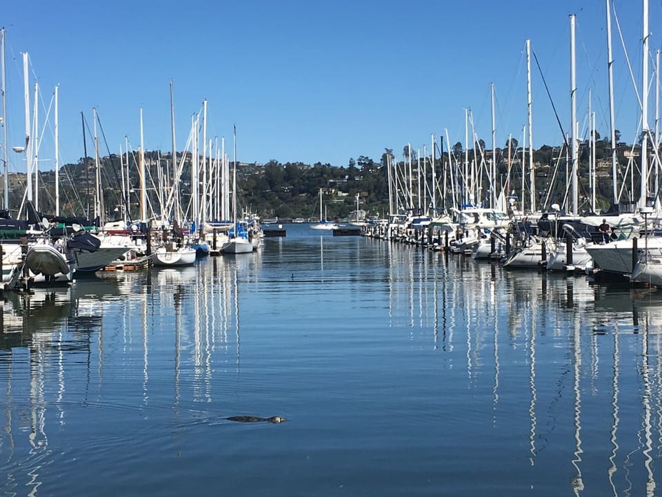 Sausalito! The Bay Area's secret, jewel only a 10 min. drive from SF.