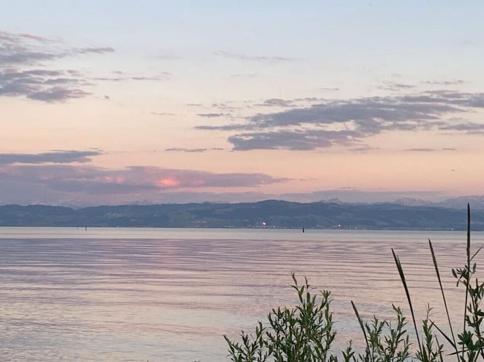 Ausblick auf den Bodensee