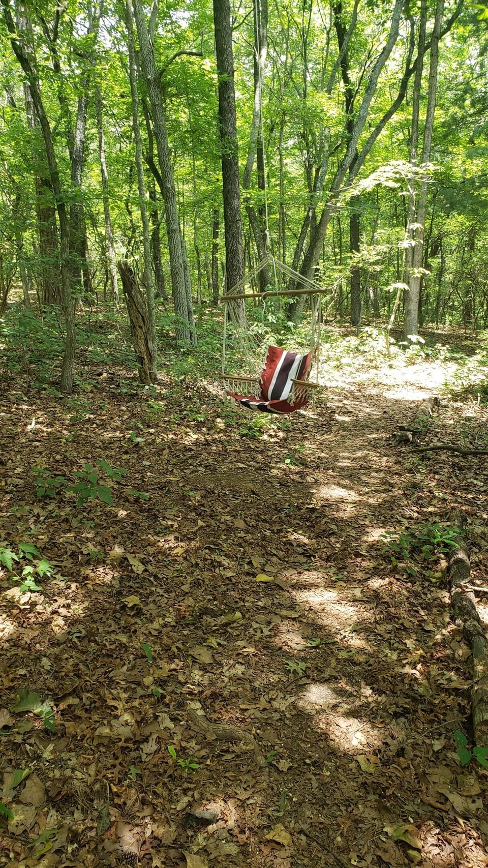 Swing 50ft from the door