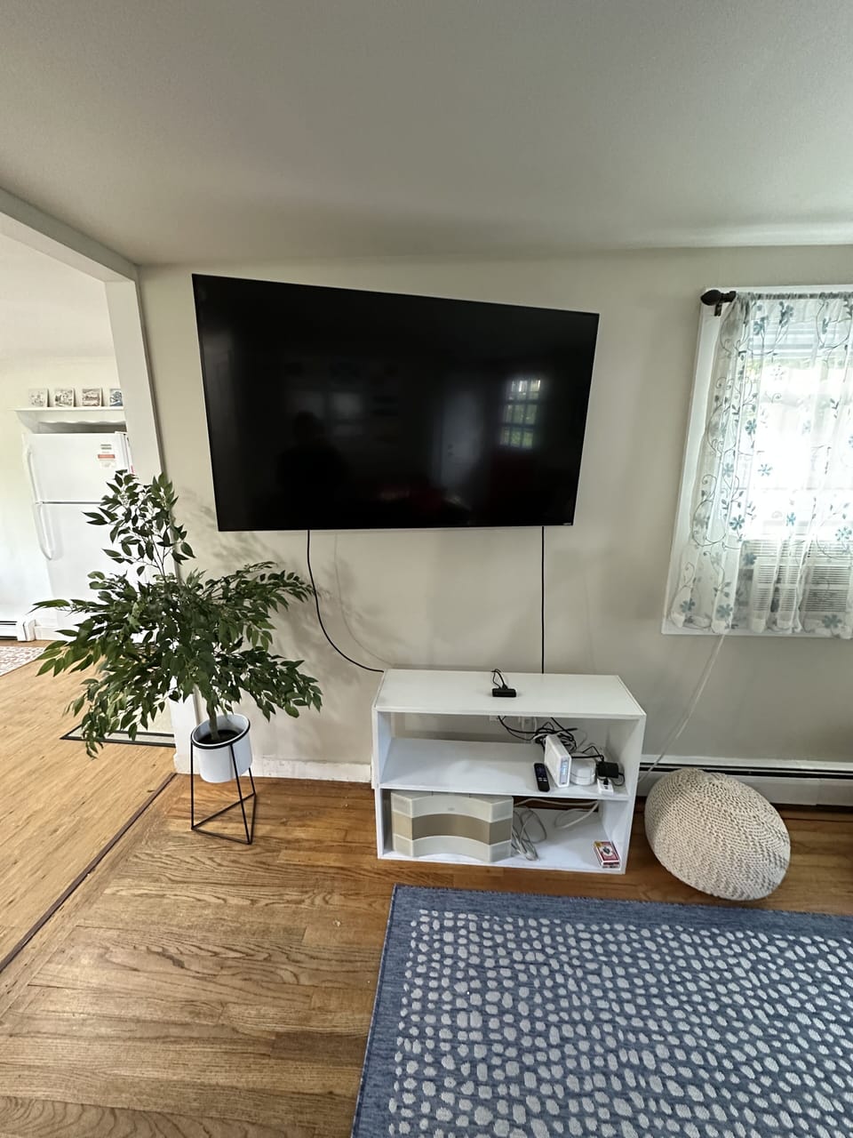 Roku tv in living room