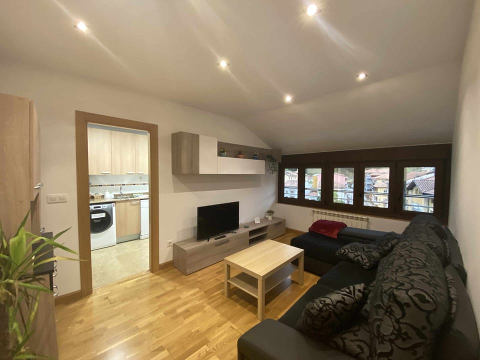 Kitchen or kitchenette,Living room