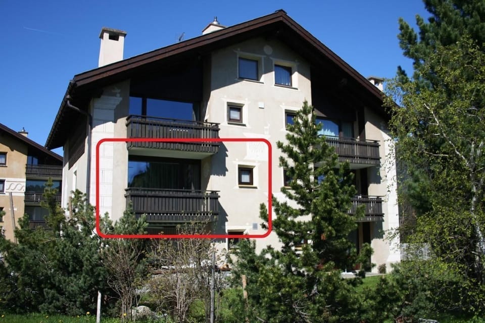 Picture 3