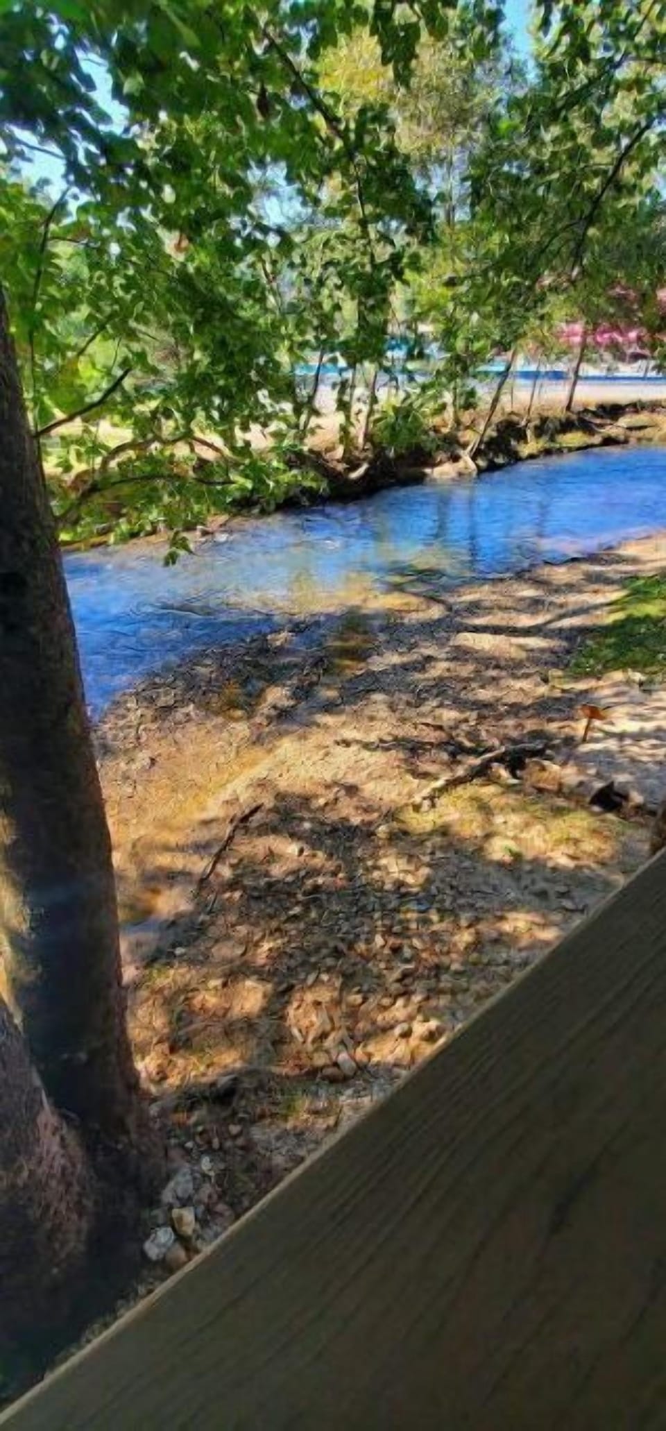 The Hooch, behind our cabin.