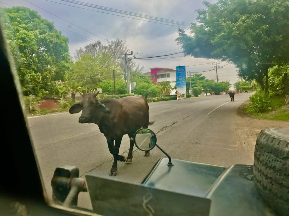Local Traffico 