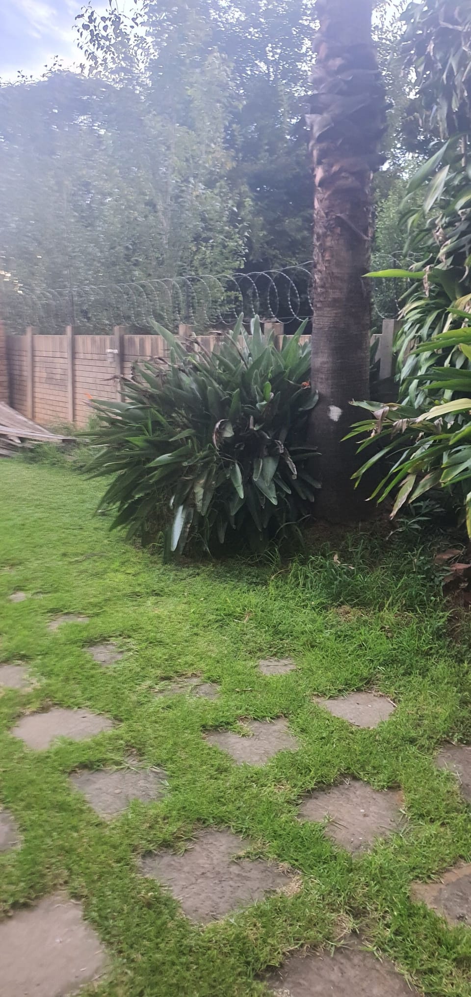 Property grounds