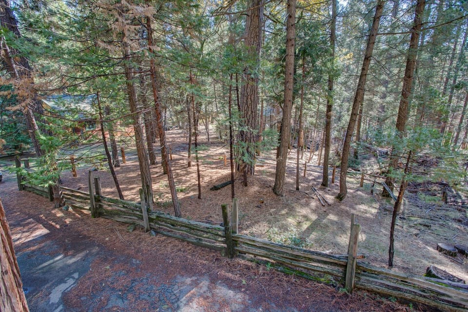 View of the surrounding forest