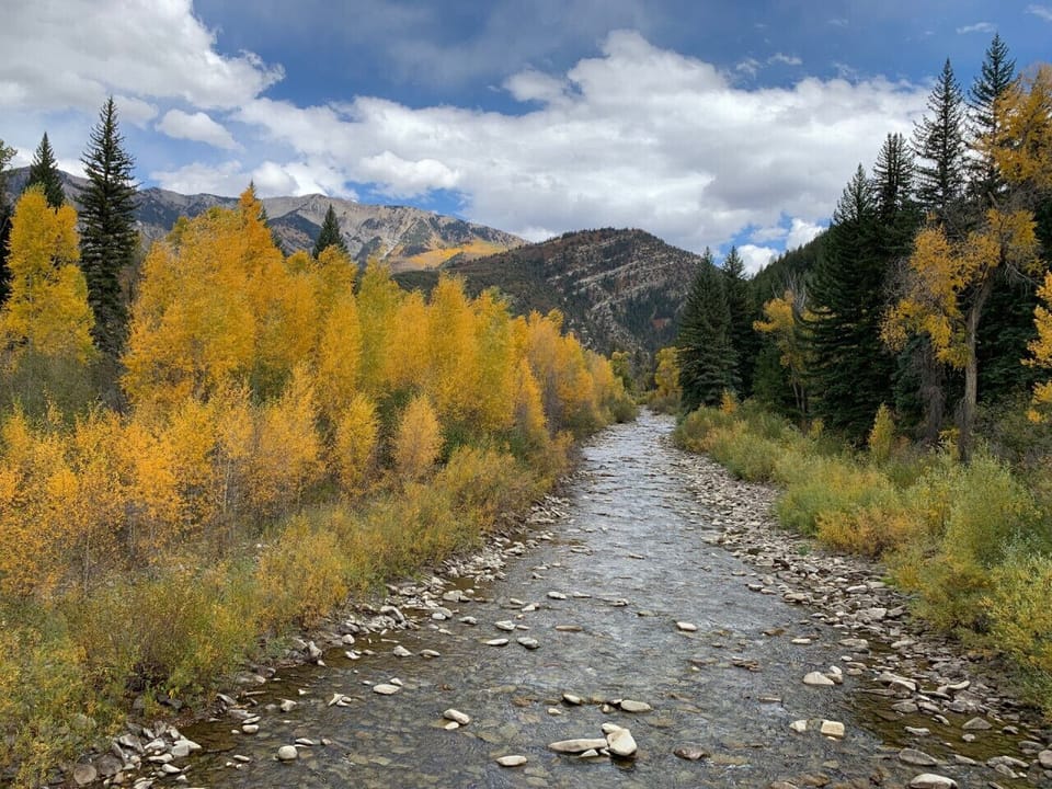 Hike the Dark Canyon trail. Anthracite Creek invites you